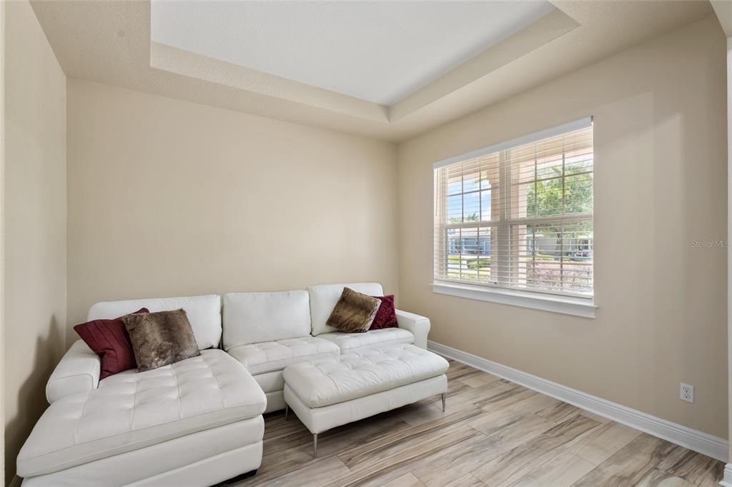 Living room with tray ceiling. All new beautiful laminate flooring April 2024 in most every room!