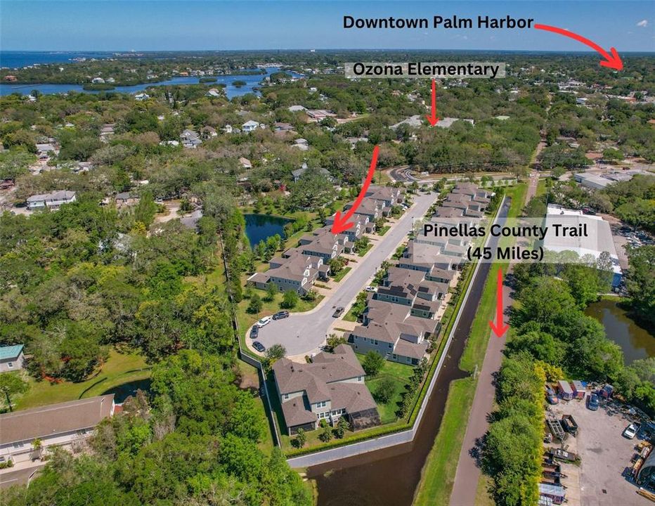 A BIKE RIDE AWAY FROM DOWNTOWN PALM HARBOR!