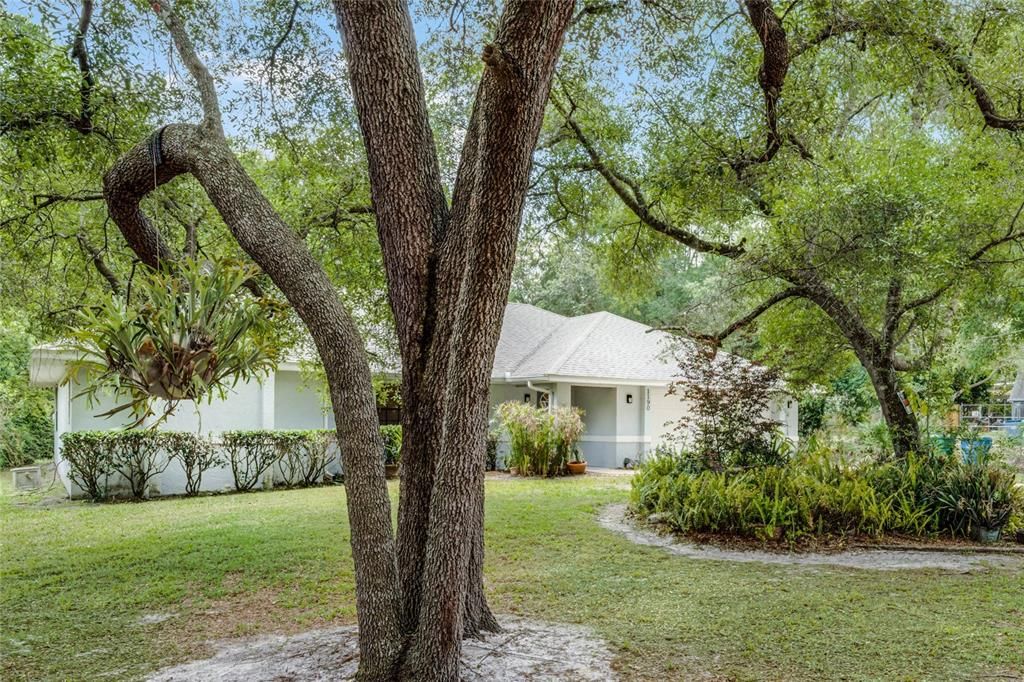 Front Exterior with Trees