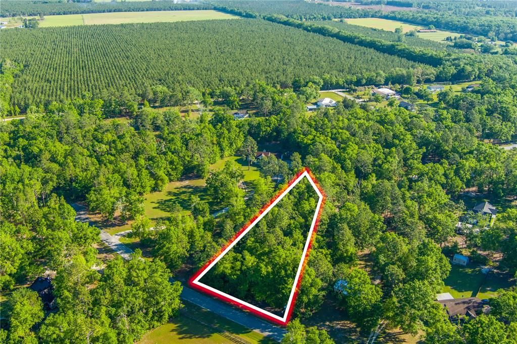 For Sale: $30,000 (1.18 acres)