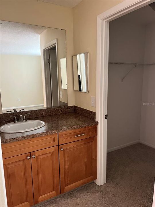 Primary walk-in closet & private vanity