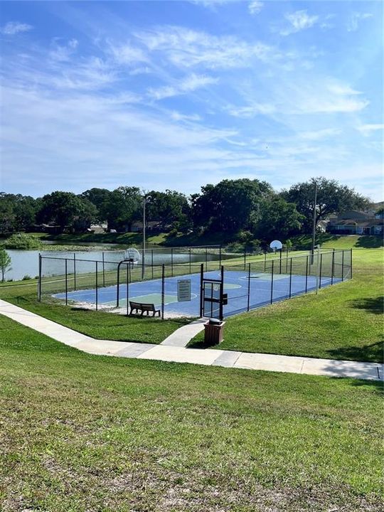 Basketball Court