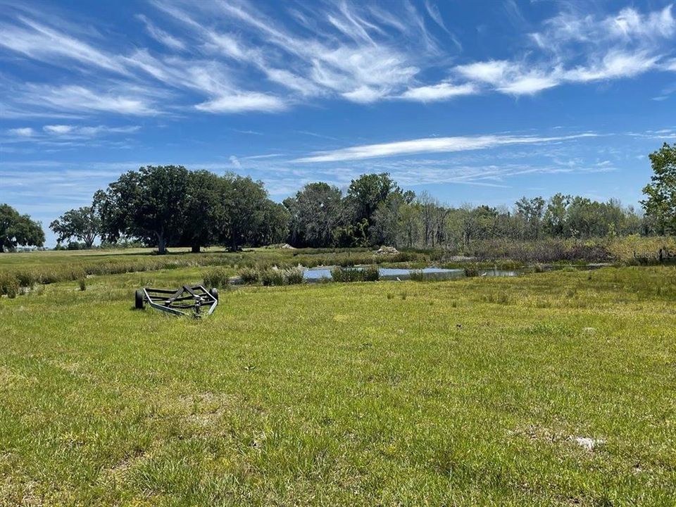 Cattle Pond serving the East Side of the Property