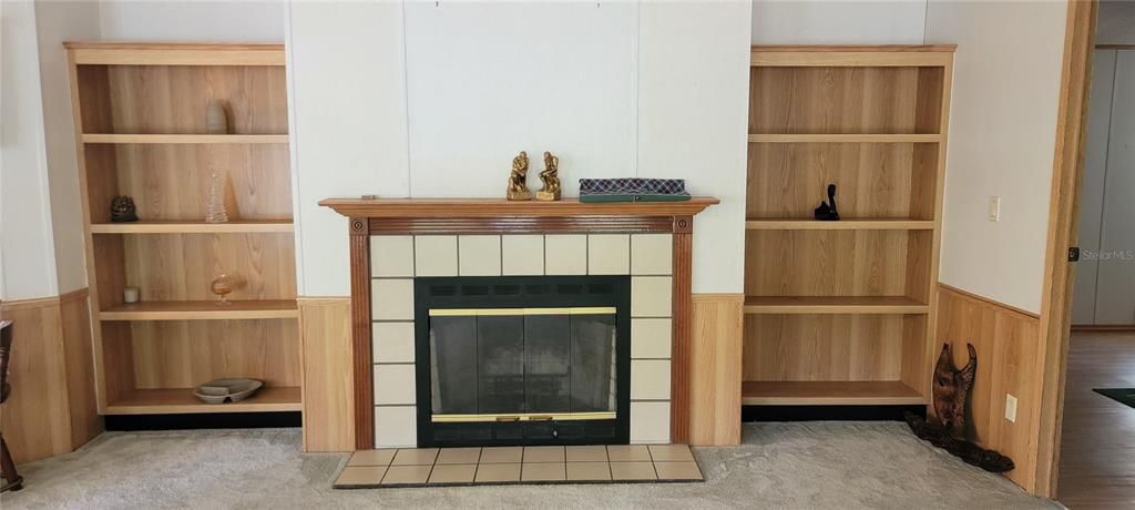Fireplace and Built-In shelving