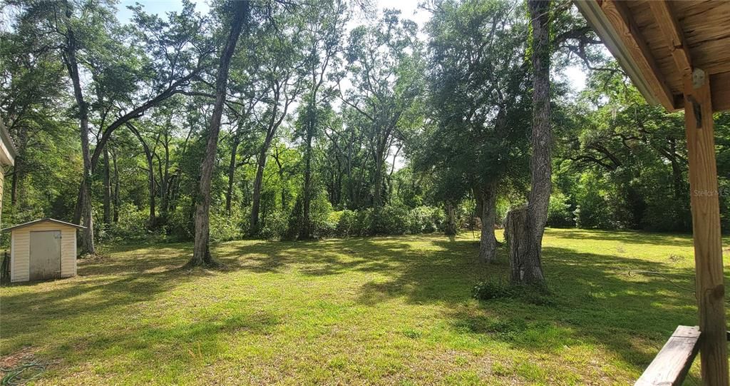 Backyard Southwest viewed from Back Porch