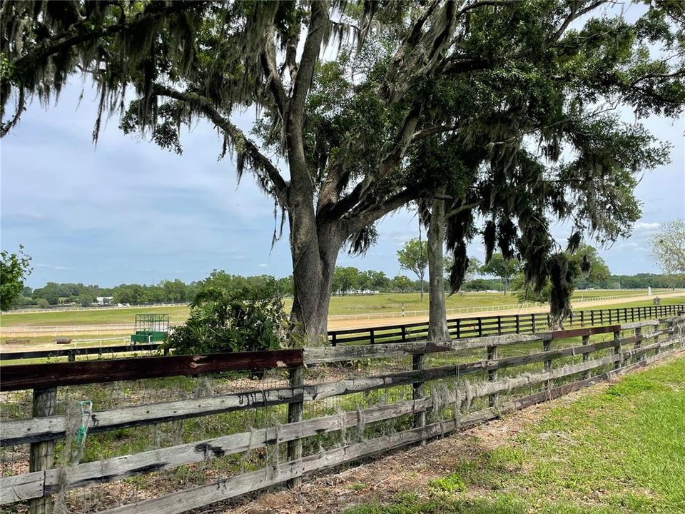 Rear of property backs to a Horse Farm Training Center