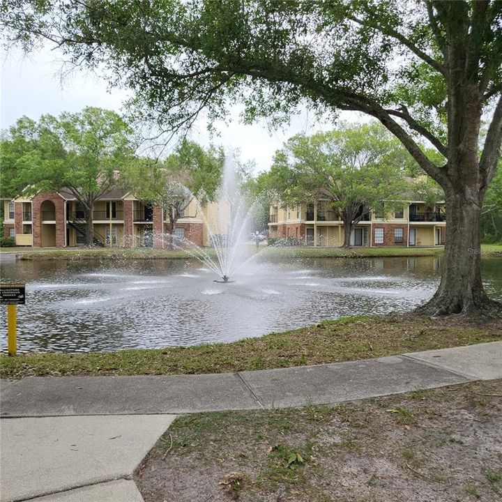 pic of the pond from the sidewalk between the bldgs