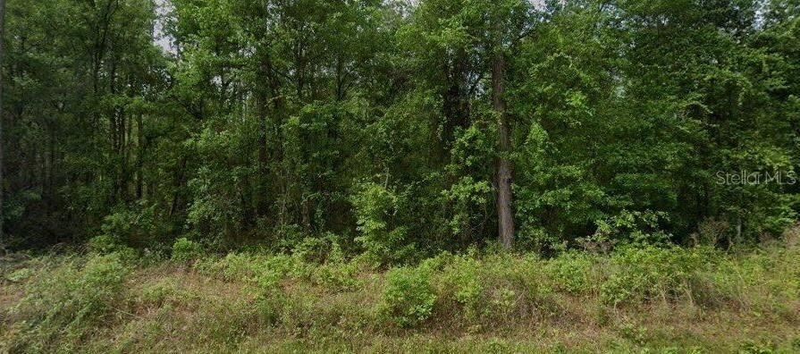 For Sale: $25,900 (0.24 acres)