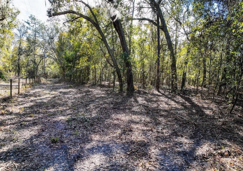 For Sale: $139,000 (5.00 acres)