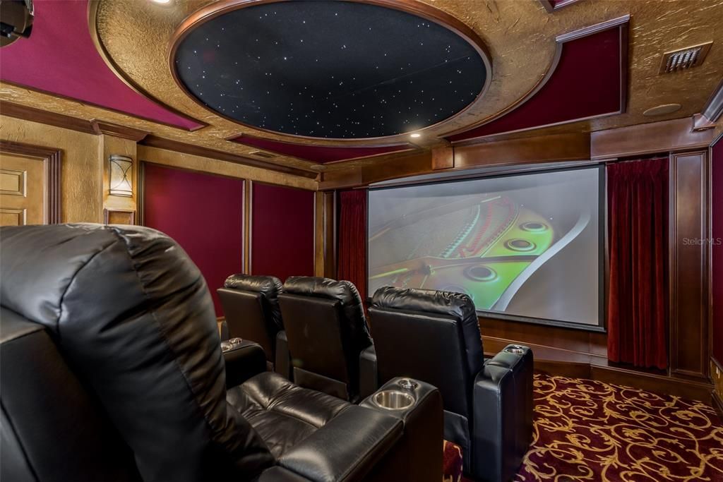 watch the movies under the stars in leather luxury seats! Surround sound and sound proof walls.