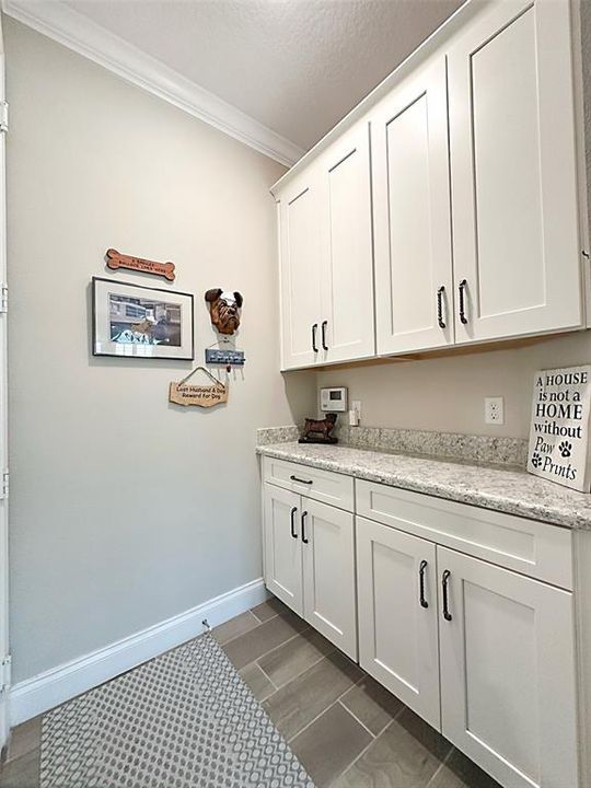 Valet/drop zone by garage entry with upgraded cabinetry, granite counter and crown molding