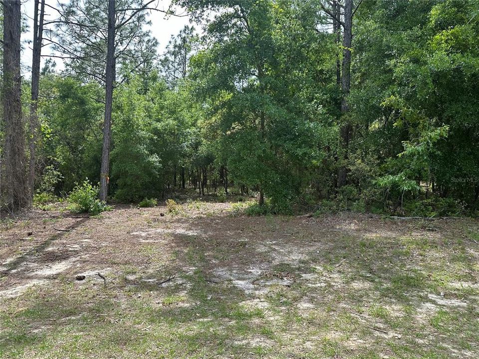Active With Contract: $100,000 (1.52 acres)