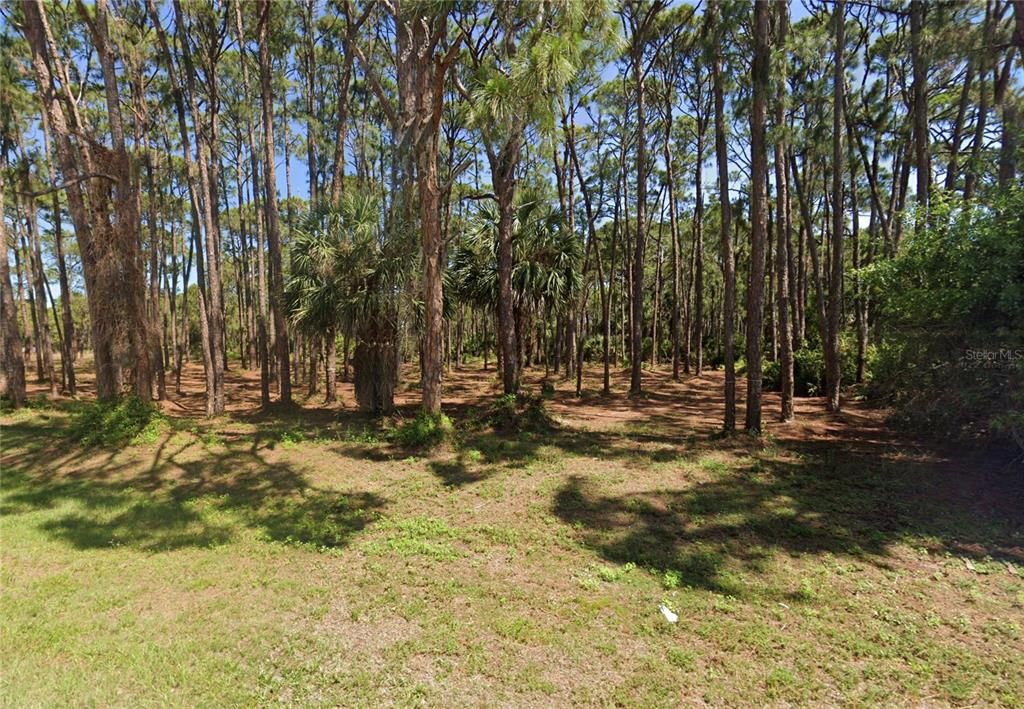 For Sale: $54,900 (0.22 acres)