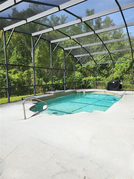 Large private pool