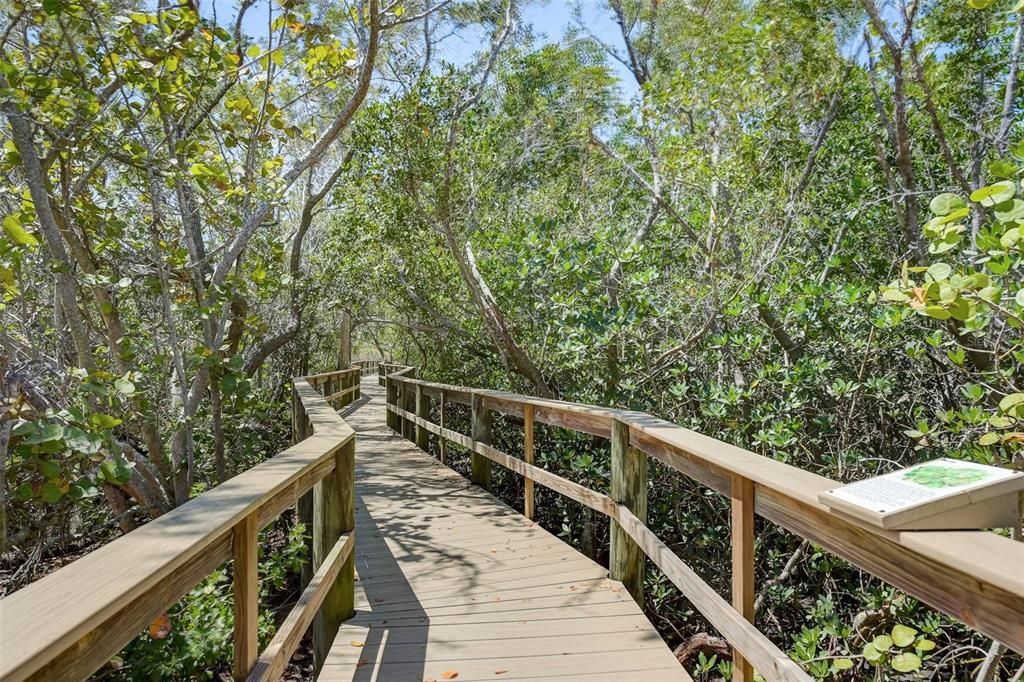 Terra Ceia Bay Club Boardwalk Through the Mangroves