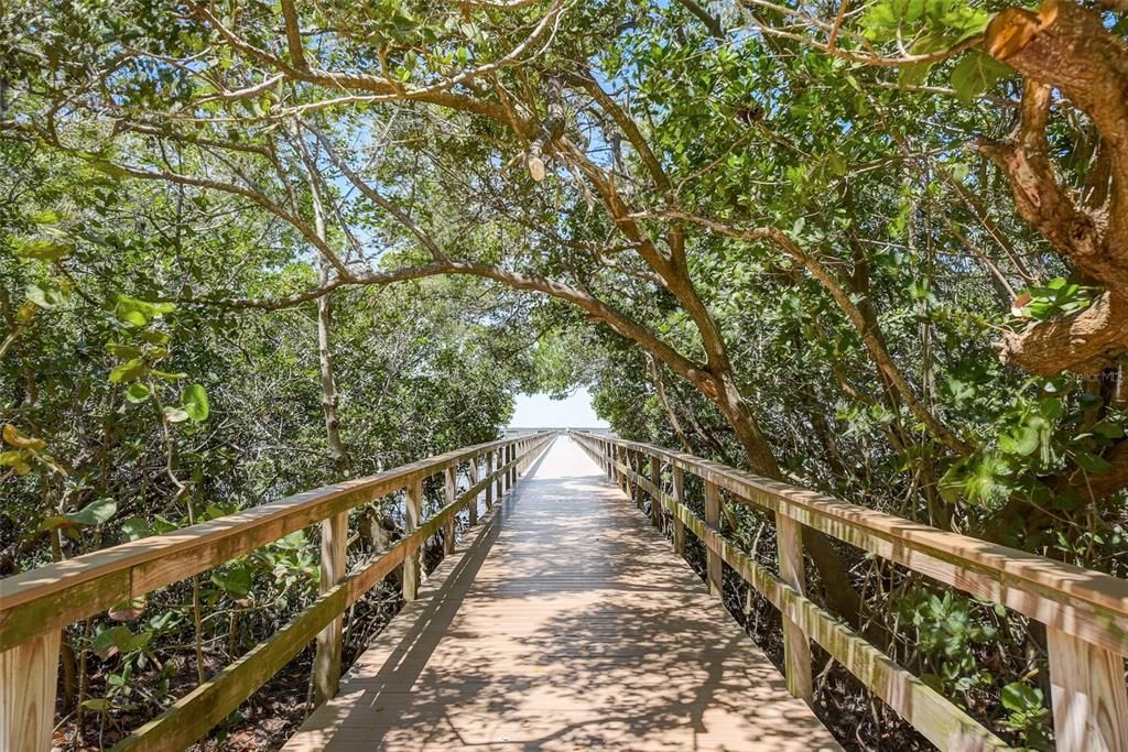 Boardwalk to the Bay