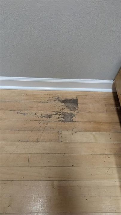 Flooring has some damage and won't be replaced
