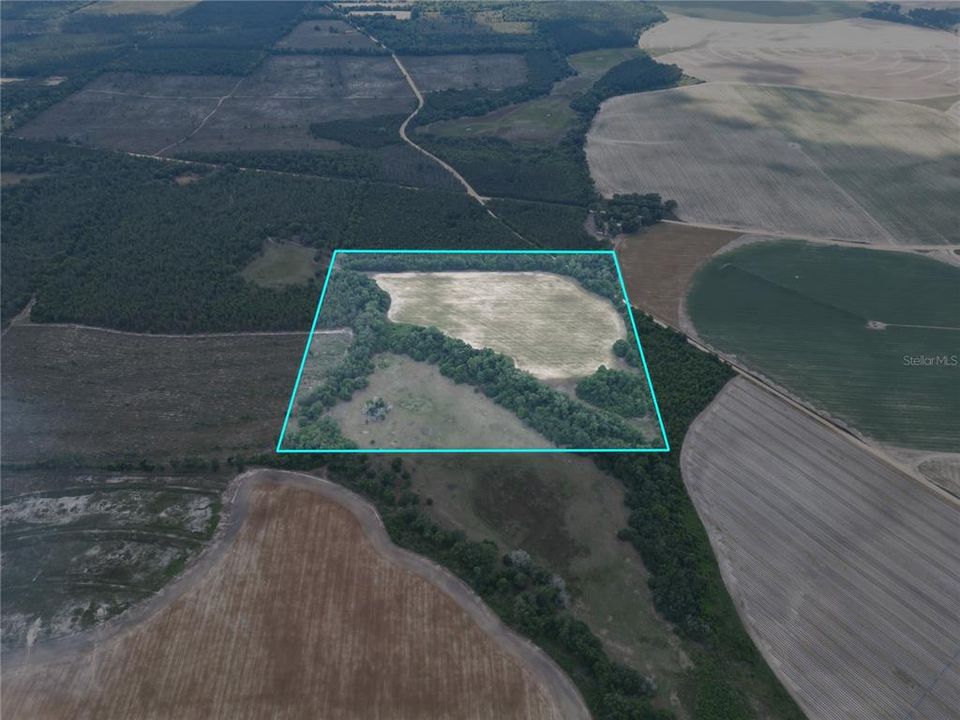 For Sale: $230,000 (40.00 acres)