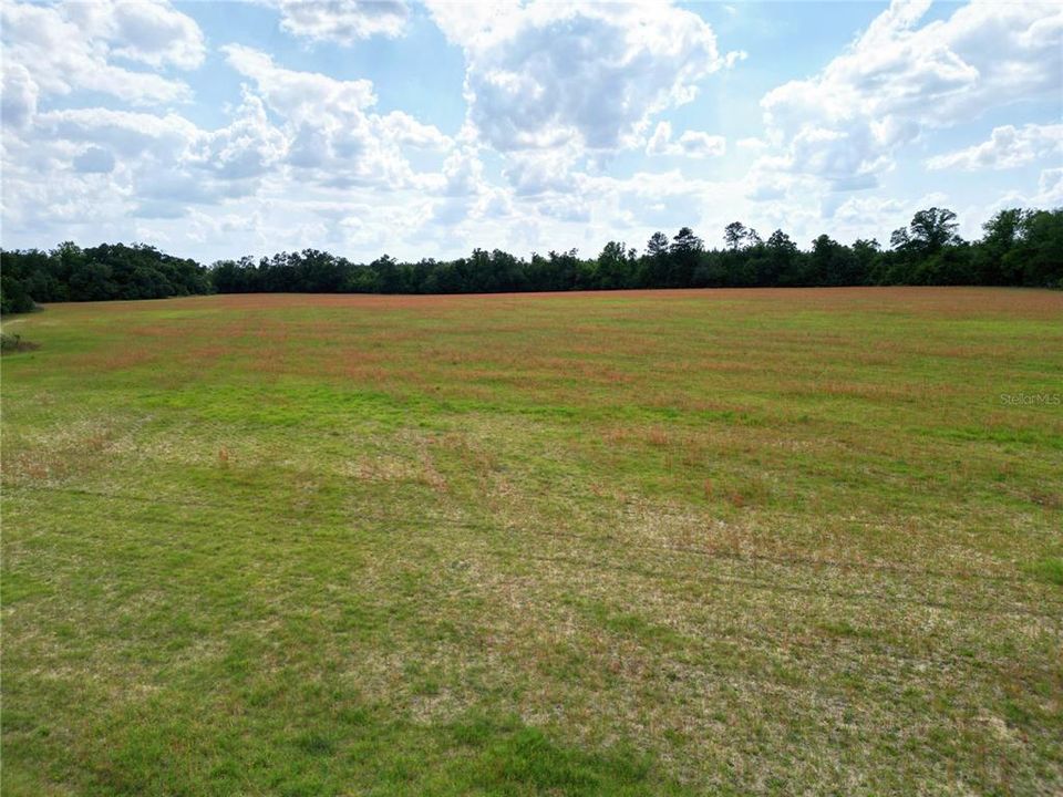 For Sale: $230,000 (40.00 acres)