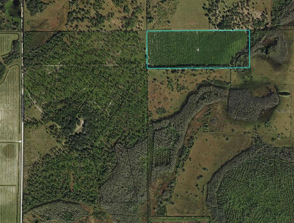 For Sale: $460,000 (40.00 acres)