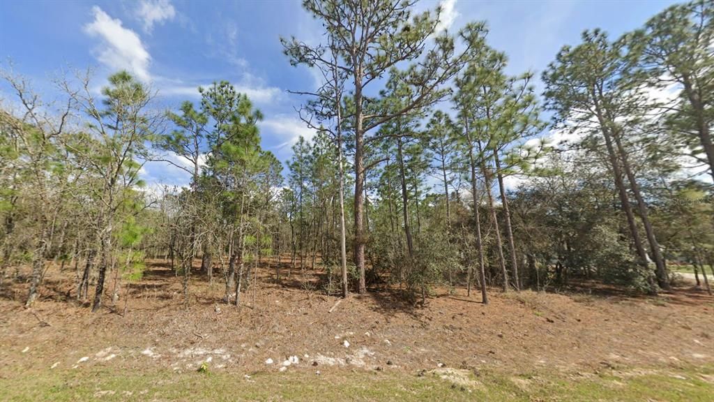 Recently Sold: $59,900 (1.16 acres)