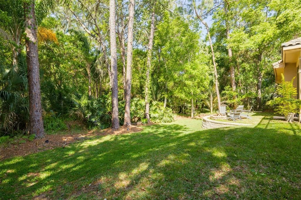 Wooded Over-sized lot