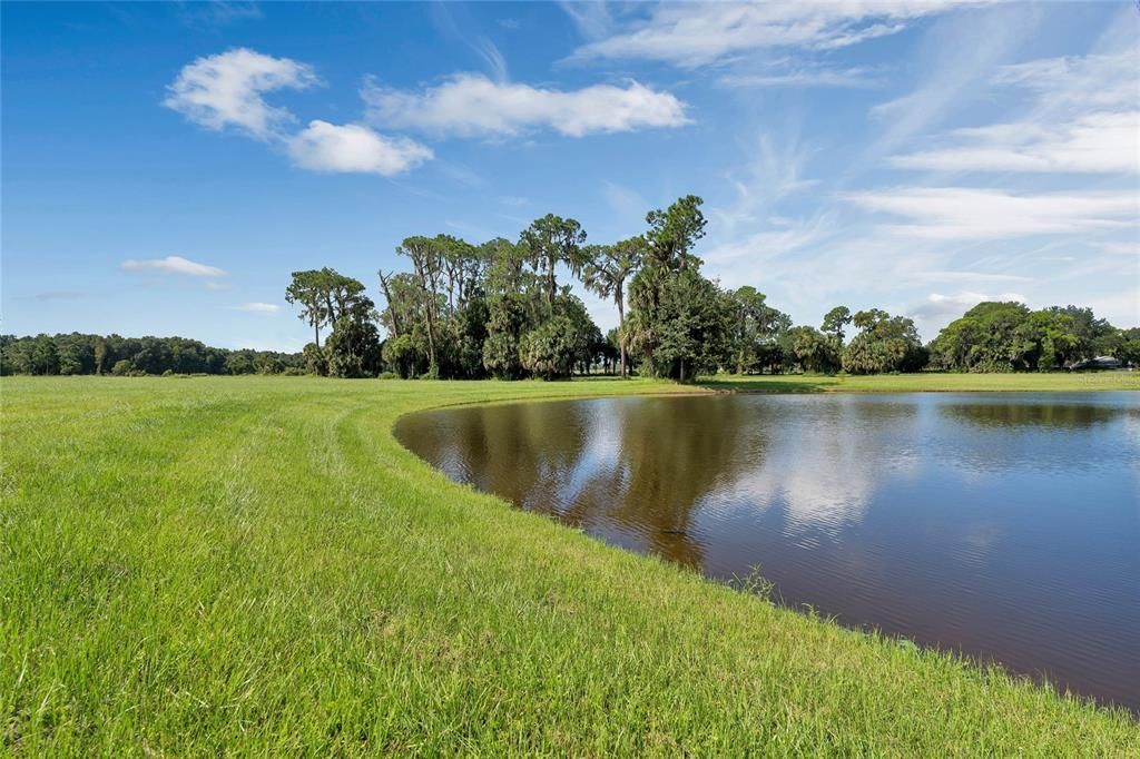 107 FT of Water Frontage! Boat and Fish Enthusiasts Can Build and Amazing Dock!