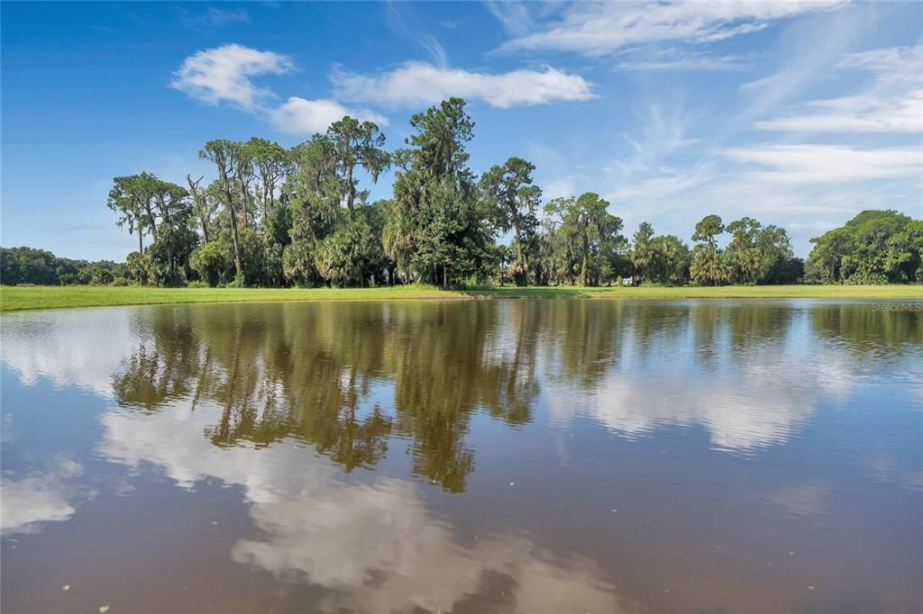 Welcome Home to a Water Paradise!