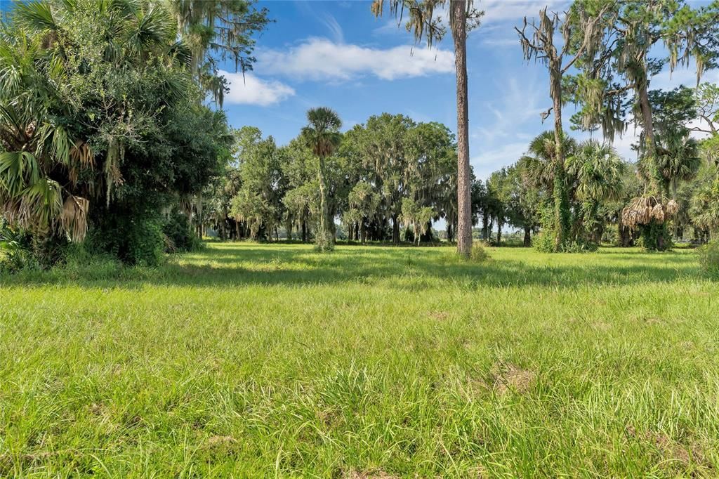 With this oversized lot, you have plenty of room to build your DREAM HOME and add a Pool or Backyard OASIS!