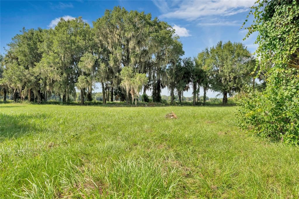 На продажу: $249,920 (1.61 acres)