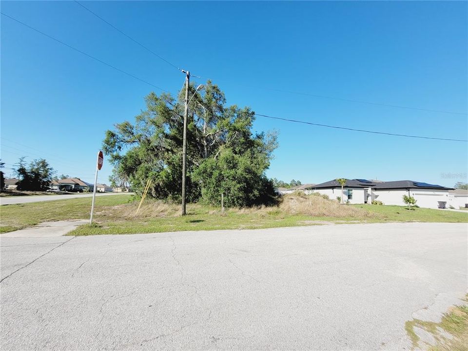 View of property from Begonia Ln.