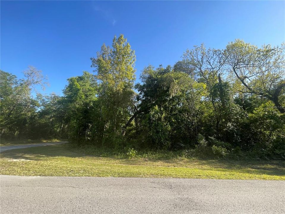 Active With Contract: $29,500 (0.97 acres)