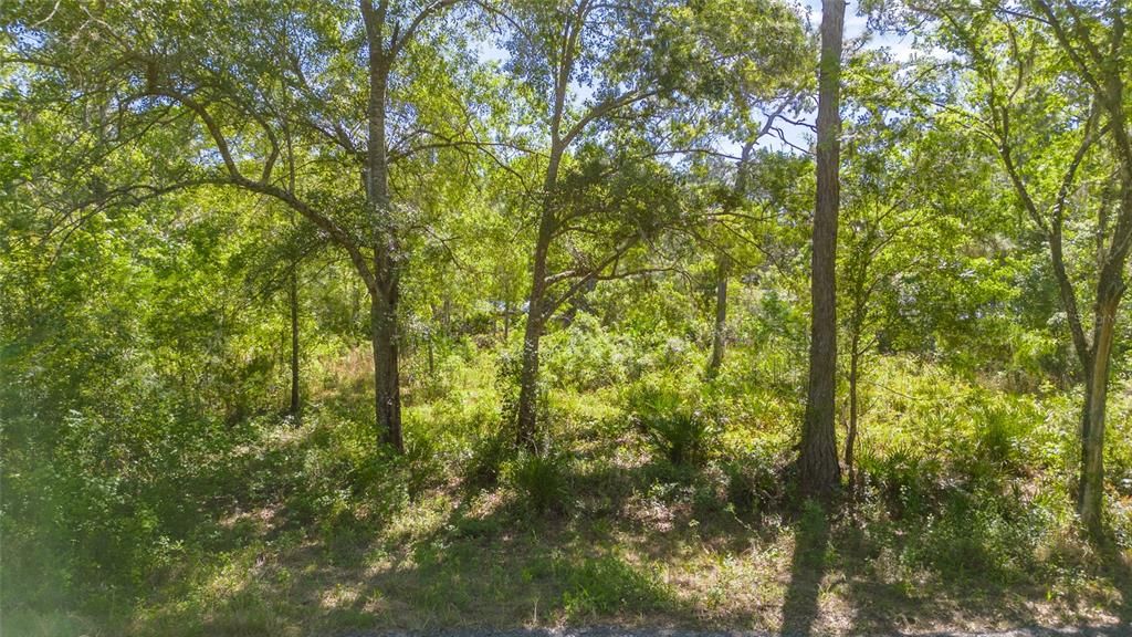 En Venta: $14,400 (0.18 acres)