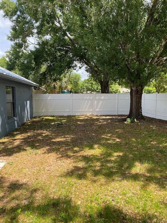 Fenced backyard with shade tree