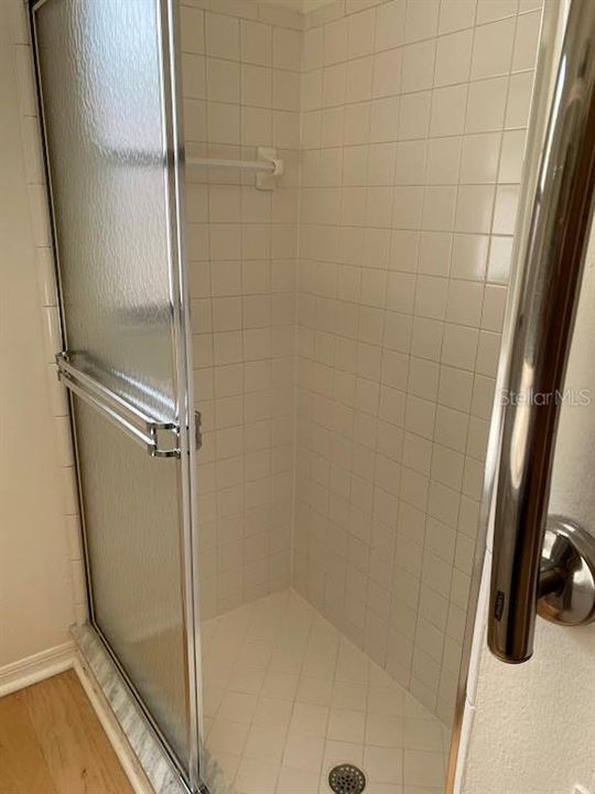 Step in shower with grab bars in master bath