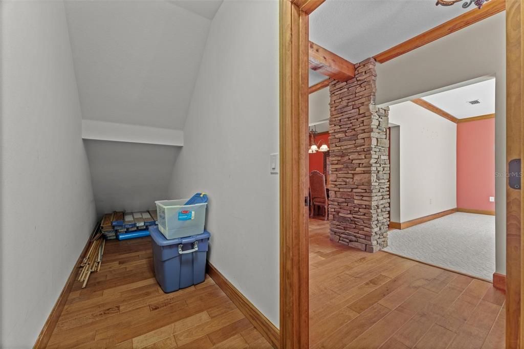 Storage Closet Under Stairs