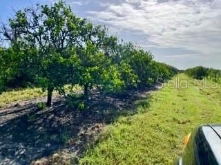For Sale: $511,000 (36.46 acres)