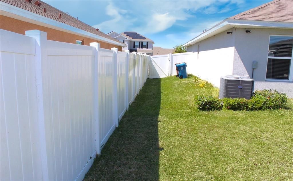 Yard and fence