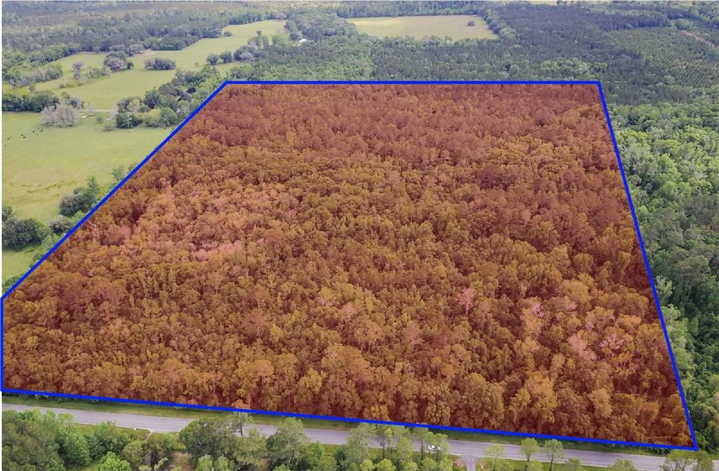 For Sale: $350,000 (42.29 acres)