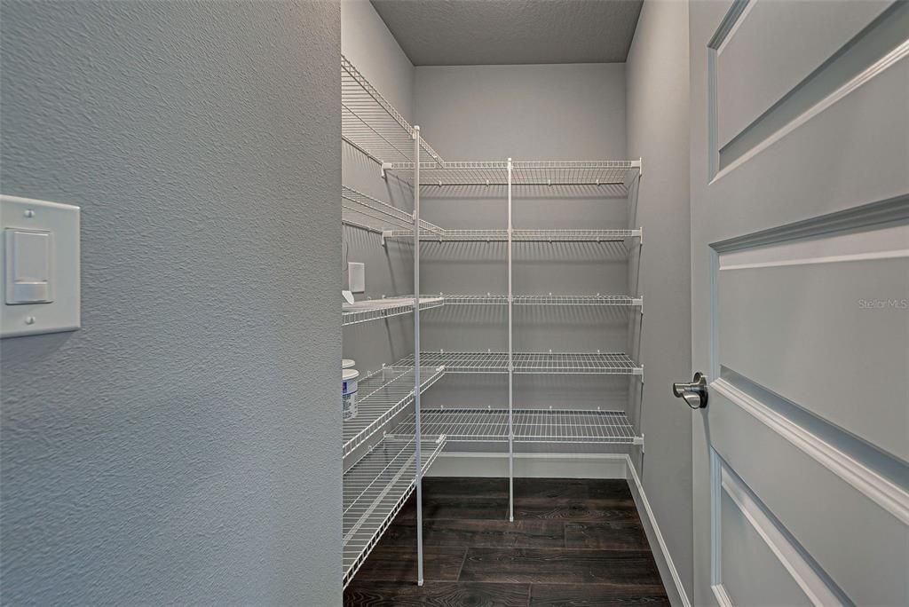 Huge, walk-in pantry for all of your cooking and storage needs.