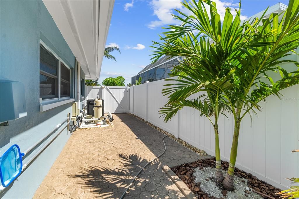 Side Yard with Palms and Pristine Pool Equipment and Pool Heater