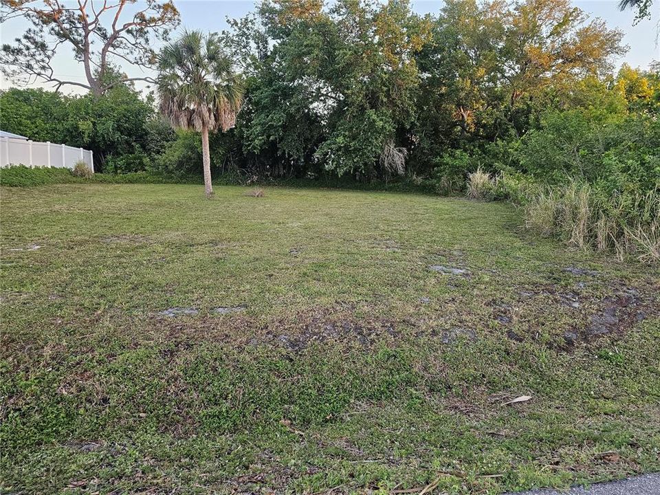 Property is cleared.  100 X 100 lot