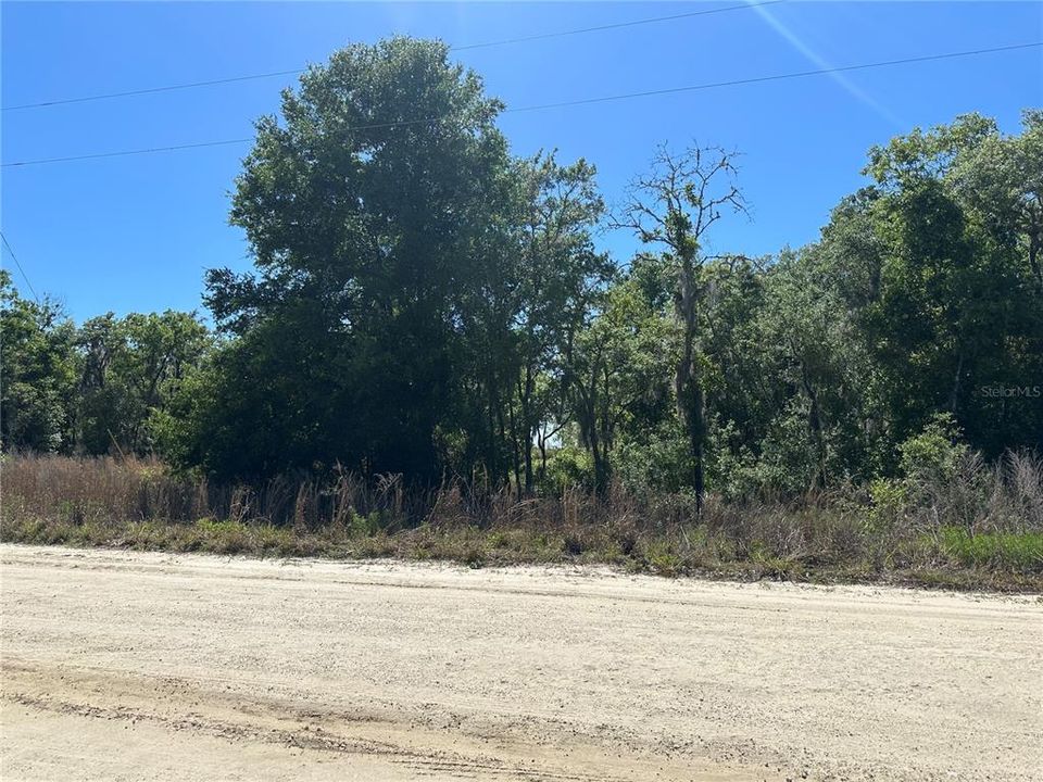 For Sale: $70,000 (1.18 acres)