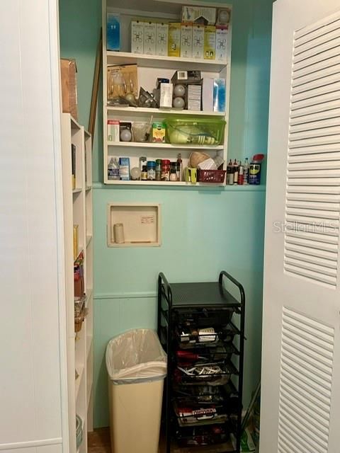 Pantry or Laundry Closet