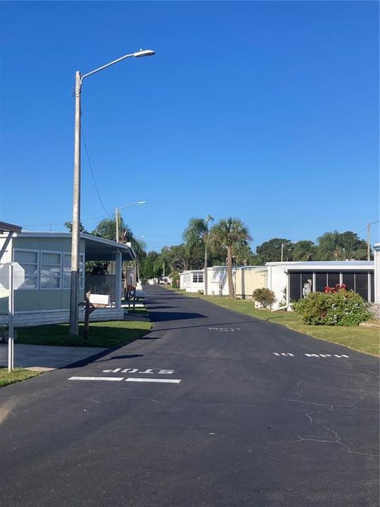 Street View in Park