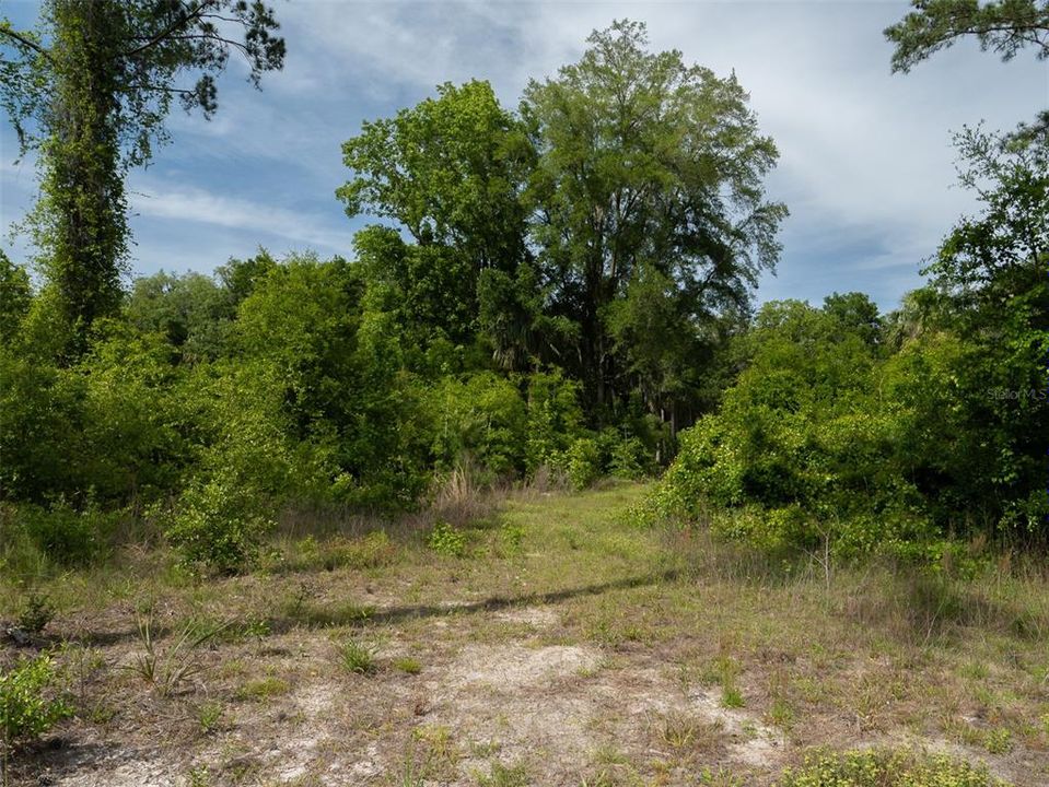 For Sale: $295,000 (16.20 acres)