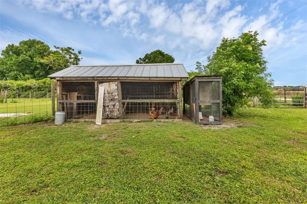 Chicken coop!