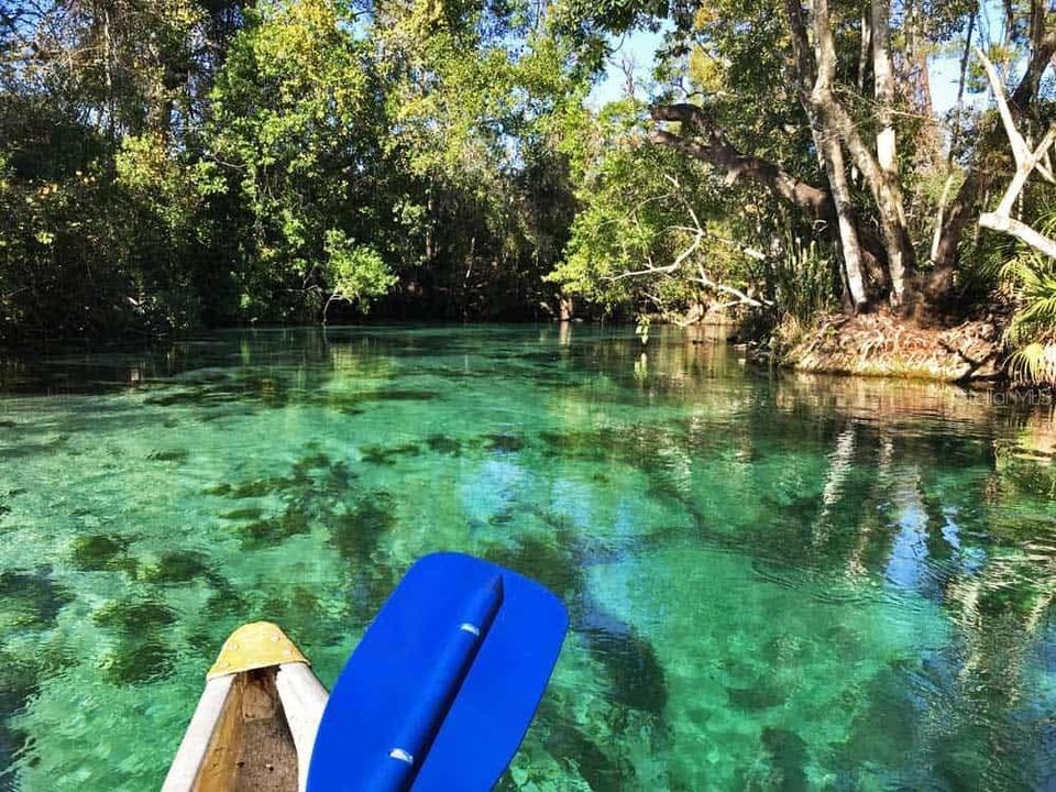 Weeki Wachee River