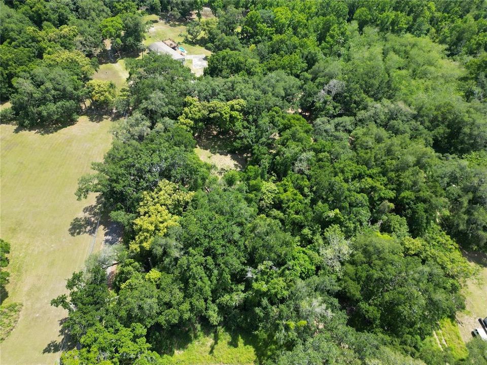 For Sale: $315,000 (0.96 acres)