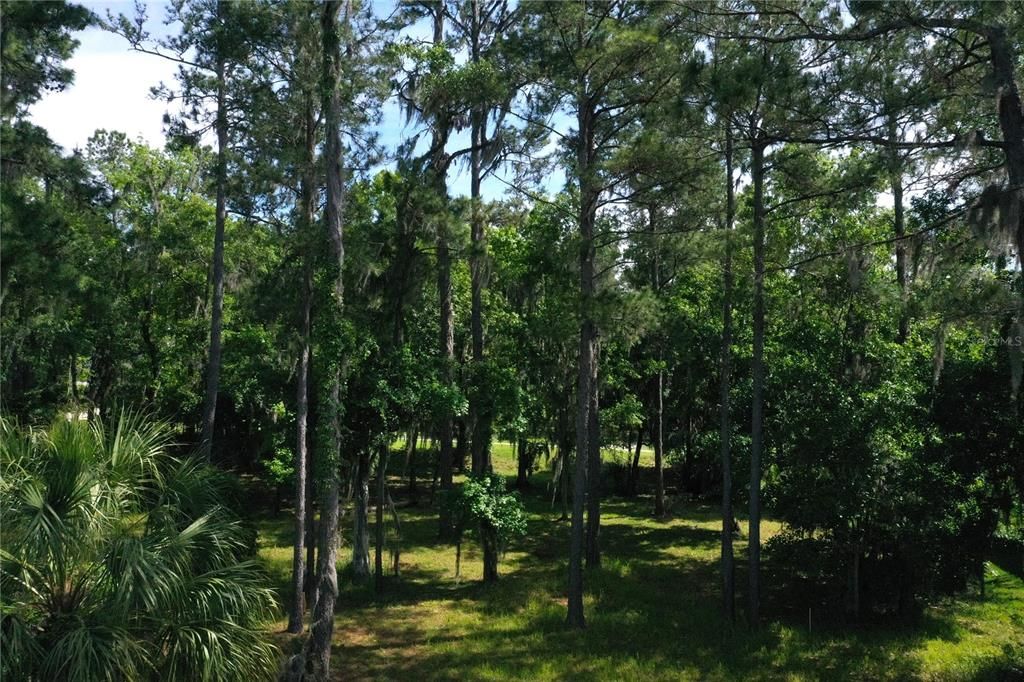 Vendido Recientemente: $94,900 (0.35 acres)